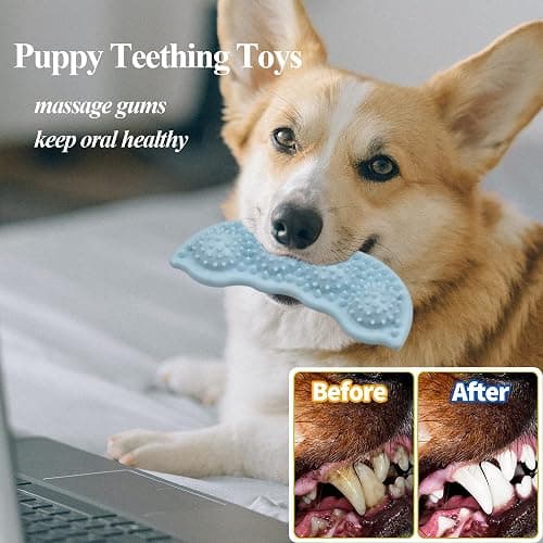 Ousiya 8 Pack Puppy Chew Toy Set Durable Dog Toys for Small Puppy Breeds Teething Toys for Puppies Non-Toxic and Safe Perfect for Training and Playtime thumbnail 3