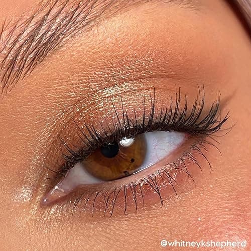 ColourPop Going Coconuts Eyeshadow Palette - Cool-Toned Neutral Eyeshadow Palette with Ultra-Velvety and Silky Finishes - High-Pigment Eye Makeup with a Long-Wearing Formula (0.3 oz) thumbnail 7