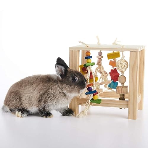 Oxbow Enriched Life Play Table, Rabbit Toys, Guinea Pig Toys, Enrichment for Bunny, Guinea Pig, Hamster, Rabbit, Chinchilla, Rat, Chinchilla Cage Accessories, Small Pet Accessories for Cage thumbnail 5