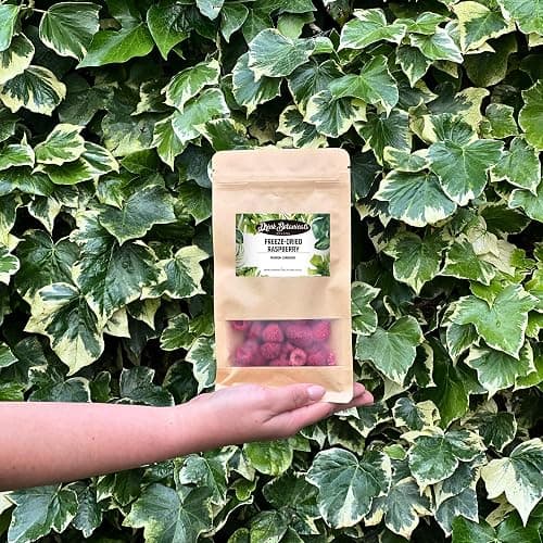 Drink Botanicals Ireland Freeze Dried Raspberries | 70 + Raspberries | 100% Natural & Edible | Raspberry Pieces for Baking Cakes, Cocktails, Desserts, Drinks, Fruit Snacks | Vegan | 30 Grams,1.058 Oz thumbnail 9