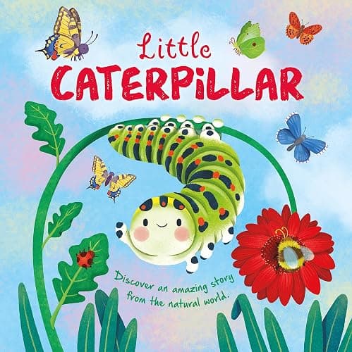 Collection of 8 Nature Stories (Children's Illustrated Picture Flats) thumbnail 8