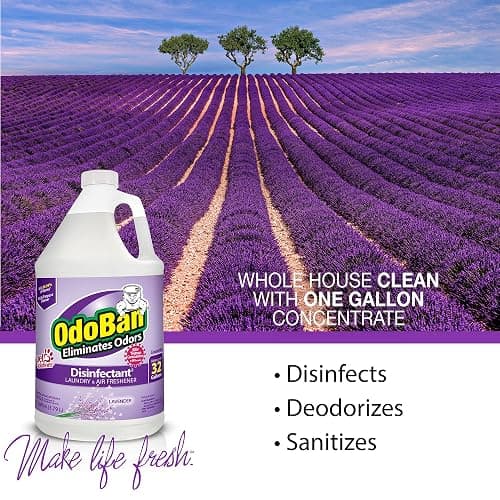 OdoBan Multipurpose Cleaner Concentrate Scent Assortment, 3 Gal (1 Each Original Eucalyptus, Lavender, Cotton Breeze) thumbnail 7