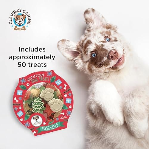 Santa Paws Classic Gourmet Dog Cookies - Vanilla Flavored Christmas Treats for All Breeds and Sizes thumbnail 4