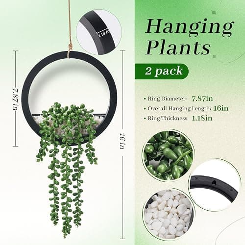 Der Rose 2 Pack Fake Plants Hanging Artificial Succulents Plants in Black Pots for Living Room Bathroom Accessories Boho Farmhouse Wall Decor thumbnail 3