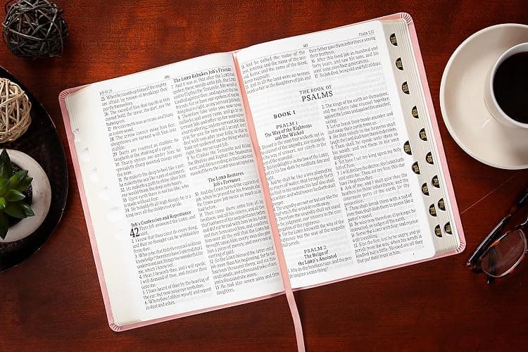 KJV Holy Bible: Blush (Light Pink), Giant Print (14 pt) – Thumb Indexed, Faux Leather, King James Version thumbnail 3