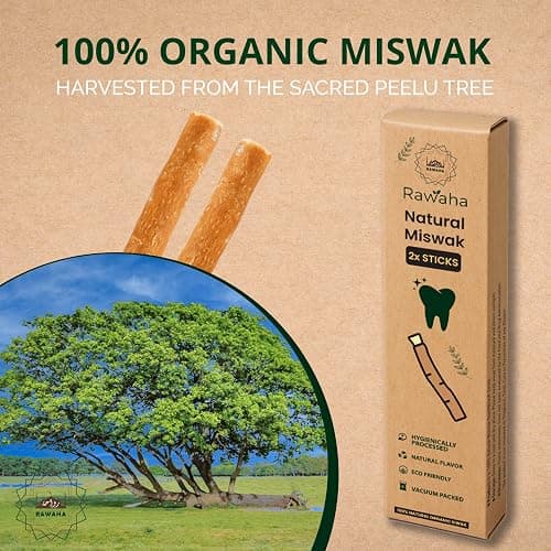 Rawaha 2 Pcs Miswak Sticks - Vacuum Sealed Natural Chewing Miswak Sticks for Teeth - Natural Flavored Toothbrush for Teeth Whitening, Oral Health, and Fresh Breath || Pack of 2 thumbnail 3