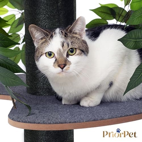 Albero per gatti con Foglie Intercambiabili - Brevettato Tiragraffi per Gatti Adulti, per Arrampicarsi Nascondersi e Dormire - Più Livelli, Facile da Montare - Tiragraffi Gatto Costruzione Robusta thumbnail 10