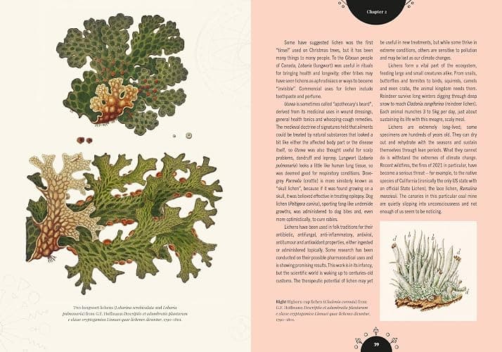 Kew - The Magic of Mushrooms: Fungi in folklore, superstition and traditional medicine (Royal Botanic Gardens, Kew) thumbnail 7