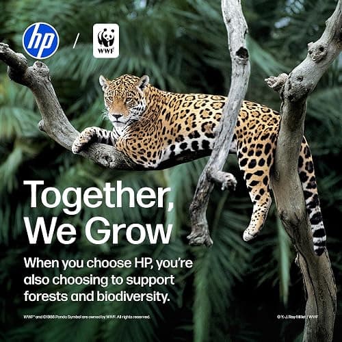 HP DeskJet 2955 Wireless All-in-One Color Inkjet Printer, Scanner, Copier, Best-for-Home, 3 Month Trial of Instant Ink Included, AI-Capable (A24HJA) thumbnail 17