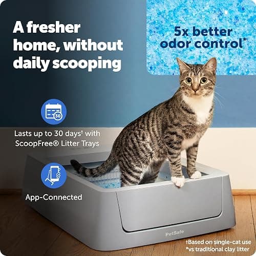 PetSafe ScoopFree Crystal Smart Self-Cleaning Cat Litter Box - WiFi & App Enabled - Hands-Free Cleanup with Disposable Crystal Trays - Less Tracking, Superior Odor Control thumbnail 2