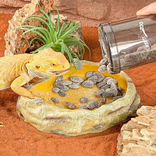 REPTI ZOO Reptile Cricket Calcium Powder Mixer, Cricket Keeper Shaker for Bearded Dragon Gecko Snake Lizards, Dispenser Feeder for Chameleon Reptile & Amphibians thumbnail 8