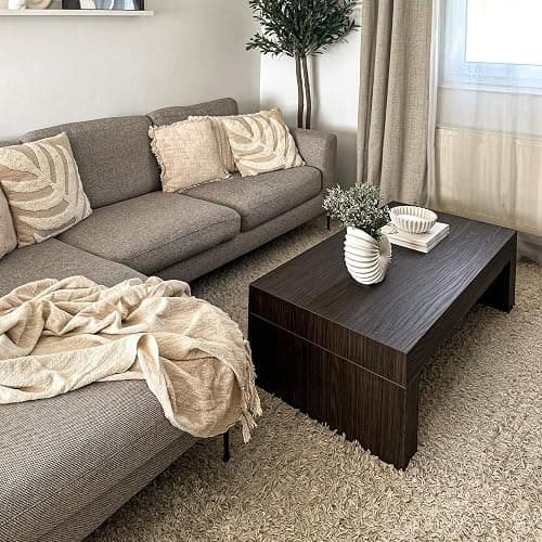 MOBILI FIVER, Couchtisch Evolution 90x60 Nussbaum, Dunkel, Made In Italy thumbnail 2