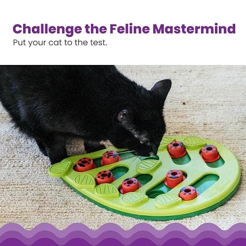 Puzzle for cats thumbnail 2
