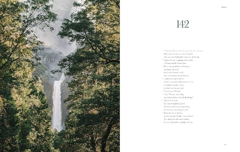 Book of Psalms - Alabaster Bible (NLT) thumbnail 2