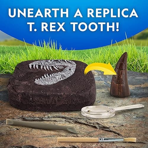 NATIONAL GEOGRAPHIC Dino Fossil Dig Kit & Dinosaur Book for Kids- Excavate a Replica Dinosaur Tooth Fossil and Study Paleontology with a Full-Color Dinosaur Activity Book for Kids (Amazon Exclusive) thumbnail 6