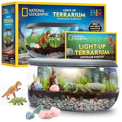 National Geographic Light Up Terrarium Kit for Kids - Build a Dinosaur Habitat with Real Plants & Gemstones, Science Kit, Dinosaur Toys for Kids (Amazon Exclusive) - Image 1
