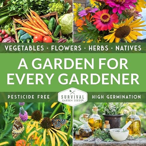 Fruit Seeds for Planting 8 Variety Pack - Non-GMO Heirloom Fruits | Watermelon, Cantaloupe, Melon, Strawberry, Ground Cherry for Home Vegetable Gardens - Survival Garden Seeds thumbnail 8