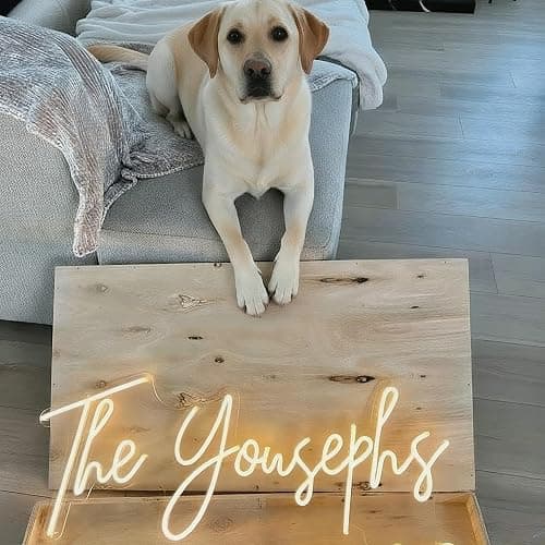 OBTAIN Custom Neon Signs, Neon Sign Customizable for Wall Decor, Personalized Neon Sign for Wedding Birthday Party Gift Party Bar Game Room Home Business Shop Name Logo Neon Sign thumbnail 7