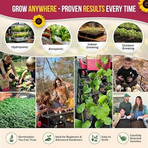 55 Vegetable Seeds Variety Pack - 35,600+ Non-GMO Heirloom Seeds for Planting Vegetables and Fruits in Individual Seed Packets, Home Garden Seeds for Hydroponic, Indoor and Outdoors Gardening thumbnail 6