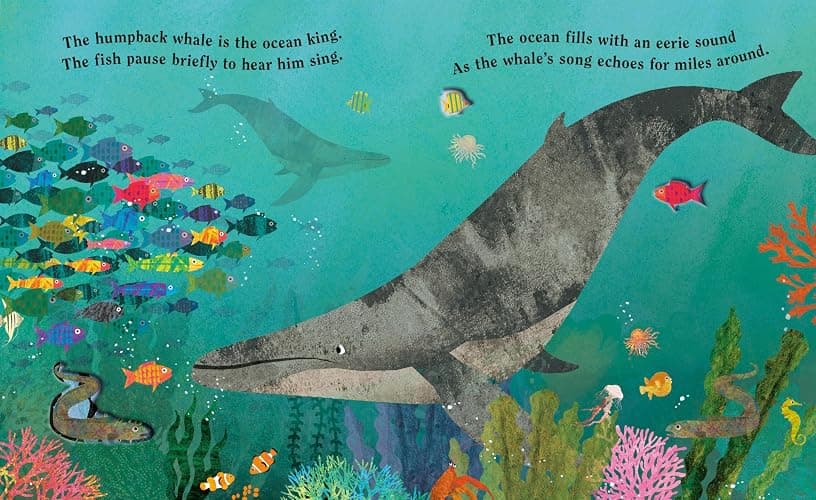Ocean: A Peek-Through Board Book thumbnail 4