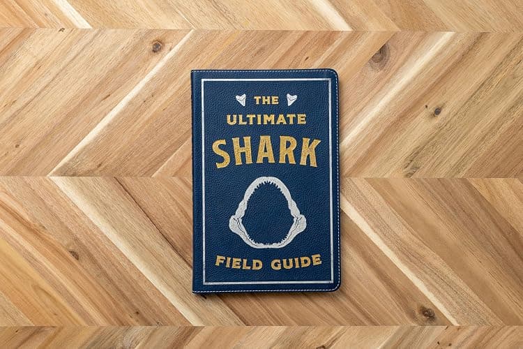 The Ultimate Shark Field Guide: The Ocean Explorer's Handbook (Ultimate Field Guides) thumbnail 3