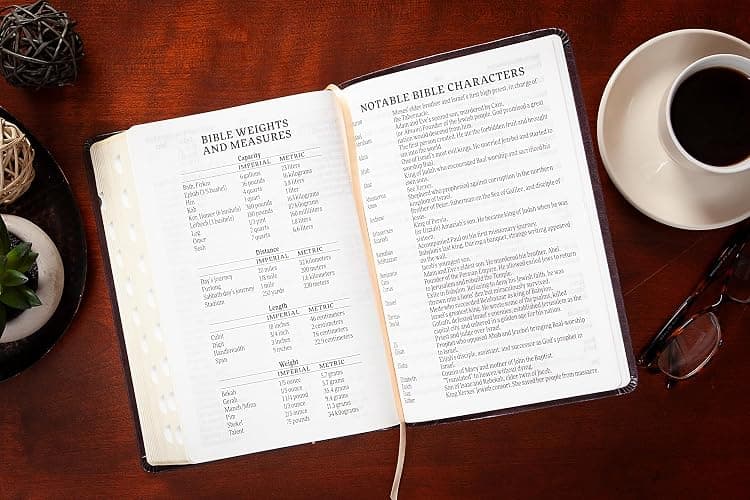 KJV Holy Bible: Blush (Light Pink), Giant Print (14 pt) – Thumb Indexed, Faux Leather, King James Version thumbnail 7