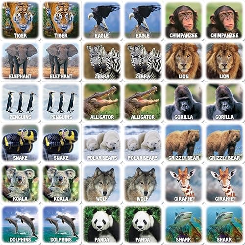 World of Animals Matching Game thumbnail 4