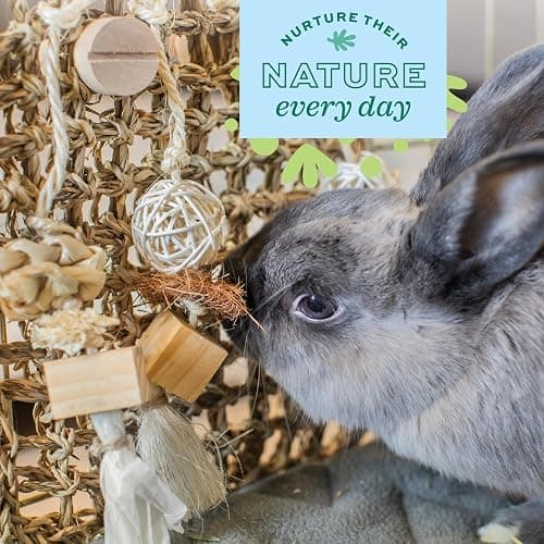 Oxbow Play Wall, Rabbit & Guinea Pig Toys, Guinea Pig Accessories, Small | Woven Play Wall For Rabbits, Guinea Pigs, Hamsters, Chinchillas & Rats, Bunny Enrichment Toys, Guinea Pig Enrichment thumbnail 6