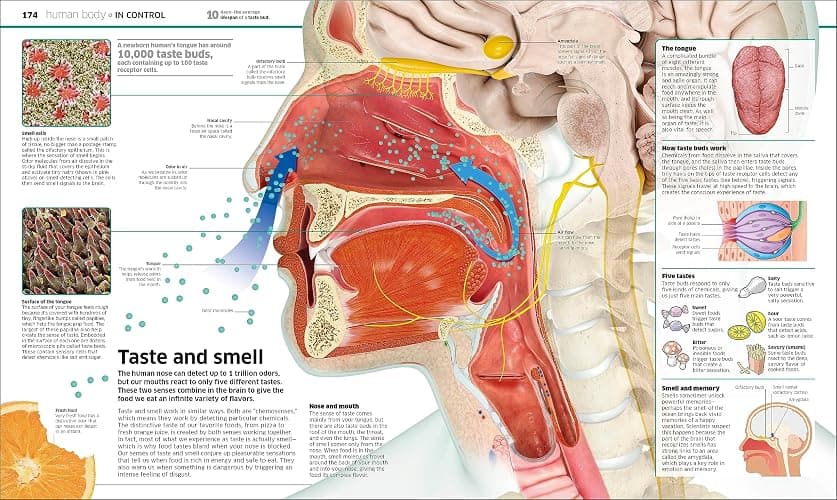 Knowledge Encyclopedia: The World as You've Never Seen it Before thumbnail 4