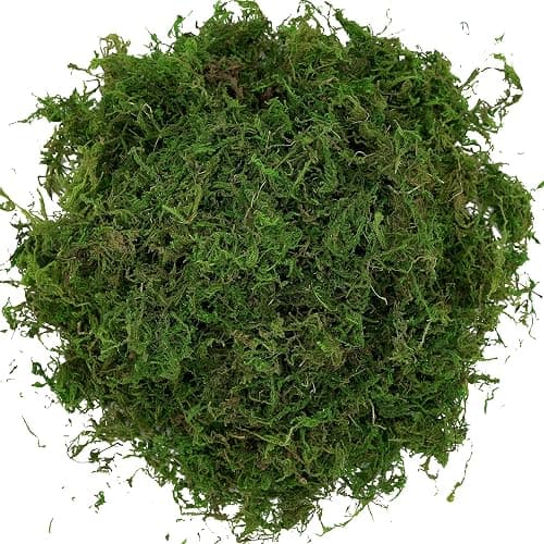 USMOLA Artificial Moss, 16OZ Fake Moss for Crafts, Decorative Centerpieces, Fairy Garden, Wedding Party Decor, Faux Potted Plants, 455gr (Fresh Green) thumbnail 6
