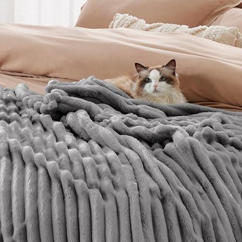 Bedsure Frost Gray Fleece Blanket for Couch - GentleSoft Cozy Soft Blankets for Women, Cute Small Throws for Girls, 108x90 Inches thumbnail 4