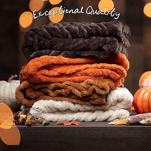 Chanasya Premium Ruched Faux Fur Throw Blanket - Luxurious, Soft Reversible Mink Blanket - 50" x 65” - Cloud - 50x65 Inches - A(cloud) thumbnail 5