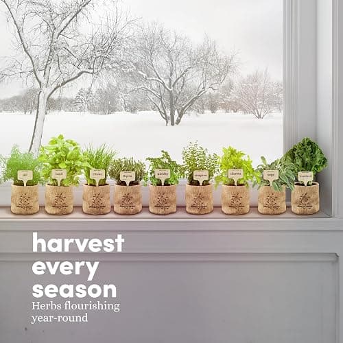Planters' Choice 9 Herb Indoor Window Garden Kit - House Plants Seeds - Best Unique Christmas Gift Ideas for Women, Mom, Friend, Her, Birthday, Housewarming, Mother - New Home Kitchen Gifts thumbnail 8