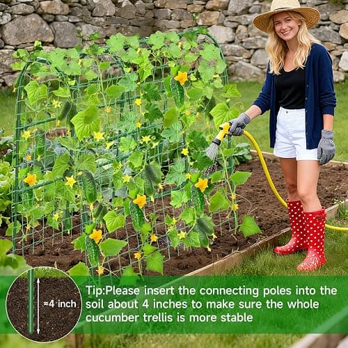 Cucumber Trellis for Raised Bed, U-Shape Garden Trellis for Climbing Plants Outdoor, Metal Arch Trellis for Vegetables, Plant Support for Tomato, Pea, Zucchini (47.2" L×30" W×47.2" H-Medium) thumbnail 9