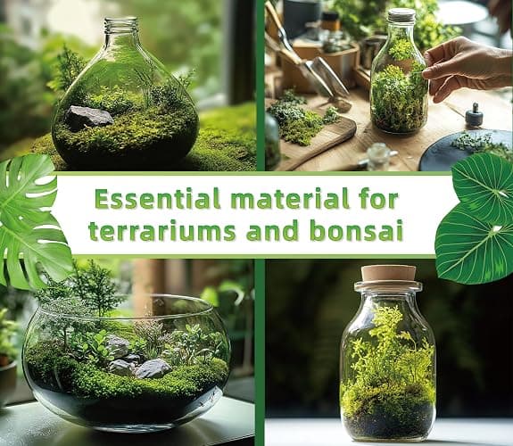 LUCKY PLANT Live Moss for Reptiles - Terrarium Moss for Reptiles Peat Moss for Reptiles Habitat Bedding Moss for Snakes Turtle Frog Gecko and Other Reptiles Substrate 50 Square inches Live Moss thumbnail 4