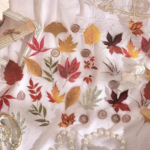 380 Pcs Natural Flower Stickers for Scrapbooking, Vintage Floral Stickers Decals Aesthetic Watercolor Stickers for Journaling Phone Case Stickers Art Bullet Junk Journal Planners DIY Craft Notebook thumbnail 5