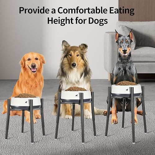 PROERR Raised Single Dog Bowl Stand, Adjustable 12-16" Tall, Elevated Dogs Food Bowl Stand for 8-12" Wide Bowls, Dog Bowl Holder for Medium Large - Metal Pets Dish Holder Only - Black thumbnail 4