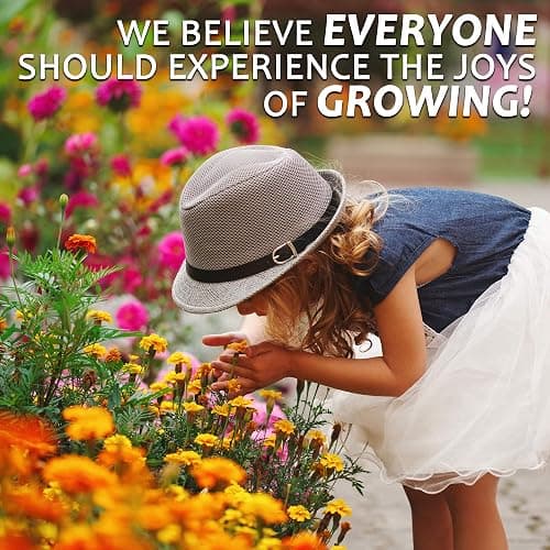 Mountain Valley Seed Co Zinnia Seeds for Planting Outdoors ~3000 California | Giant Mix Zinnia Seeds Beautiful 4' Tall Wildflower Blossoms Zinnia elegans Pollinator Seed Mix Bright, Cheerful Annual Flowe thumbnail 9