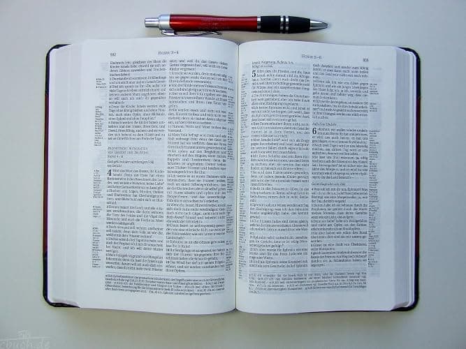 German Bible Die Bibel, Schlachter 2000, 2-toned Brown and Black, leather-soft, Contemporary Bible thumbnail 3