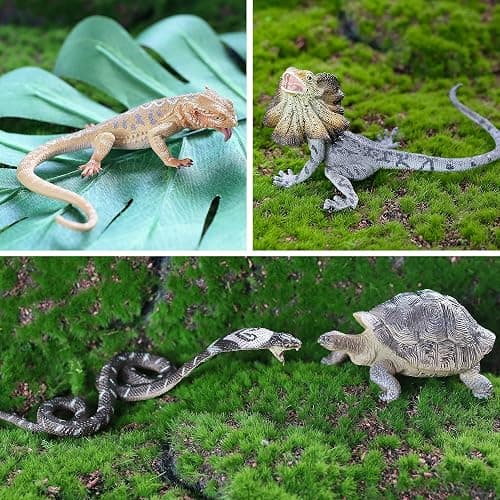 Toymany Reptile Animal Figurine Toys Set, 12 PCS Halloween Desert Amphibians Animal Figures with Komodo Dragon Lizard Snake Chameleon Rainforest Cold Blooded Animals Figures Party Favor for Kids thumbnail 4