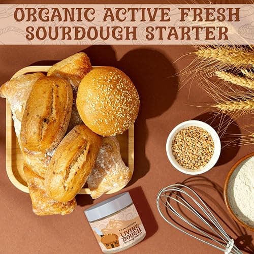 Living Dough - 55 Year Old Amish Friendship Sourdough Starter Culture - Sweet and Organic Sourdough Starter for Baking - For Artisan Bread, Pizza Dough, Waffles & More thumbnail 7