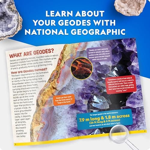 National Geographic Break Open 4 Geodes Science Kit – Includes Goggles & Display Stand - STEM Science Gift for Boys & Girls, Break Your Own Geodes thumbnail 7