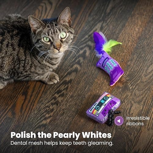 Catstages So Meowsome 90s Cat Toys, 3-Pack Catnip Plush Toys with Crinkle, Feathers & Dental Mesh, Multicolored thumbnail 6