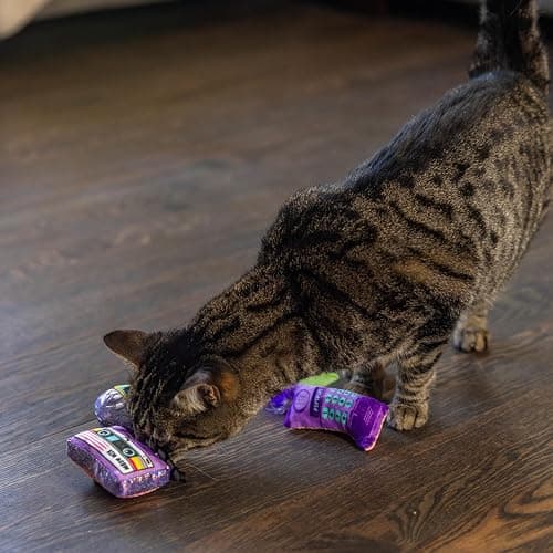 Catstages So Meowsome 90s Cat Toys, 3-Pack Catnip Plush Toys with Crinkle, Feathers & Dental Mesh, Multicolored thumbnail 7
