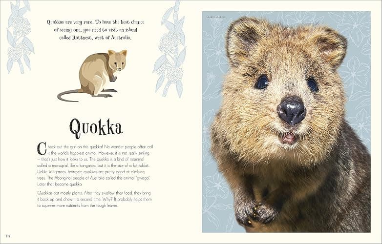 Anthology Of Intriguing Animals thumbnail 8