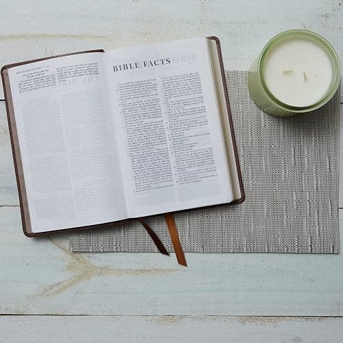 NRSV Catholic Edition Gift Bible, White Leathersoft (Comfort Print, Holy Bible, Complete Catholic Bible, NRSV CE): Holy Bible thumbnail 7