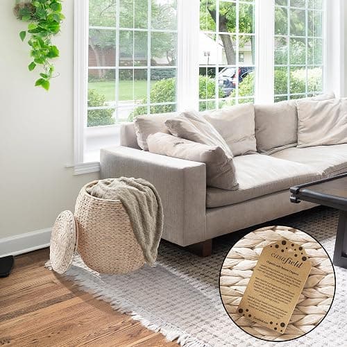 Casafield Round Storage Basket with Lid - Espresso, Handwoven Water Hyacinth Organizer for Laundry, Blankets, Plants, Bedroom, Living Room, Home Office - Espresso thumbnail 5