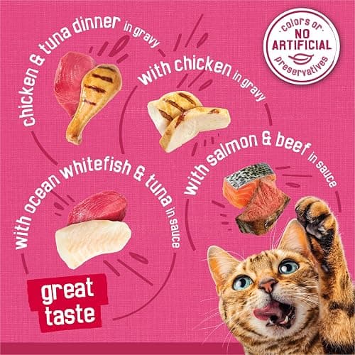 Purina Friskies Prime Filets Cat Food Variety Pack, 40 Pack 5.5 oz Cans | Surfin' and Turfin' wet cat food favorites in a savory gravy, made with real meat, poultry and seafood thumbnail 5