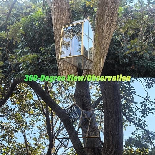 YYFWND Ready-to-Use Glass Terrarium with Vents - 8.66"x4.72"x8.46" House-Shaped Jumping Spider Enclosure, Habitat for Praying Mantis, Snails, Insect or Succulent Plants - Home Garden Tabletop Decor thumbnail 7
