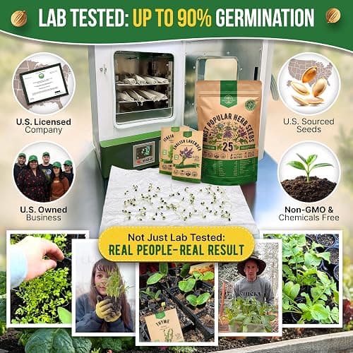 25 Most Popular Herb Seeds Variety Pack - 11,700 Non-GMO Heirloom Seeds for Planting Herbs in Individual Seed Packets for Hydroponic, Indoor & Outdoor Gardening - 2026 Season: Catnip, Dill, Thyme thumbnail 2